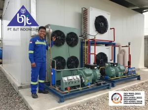 Kualitas Mesin Blast Freezer Room Custom 5 Ton Bitzer dari BJT